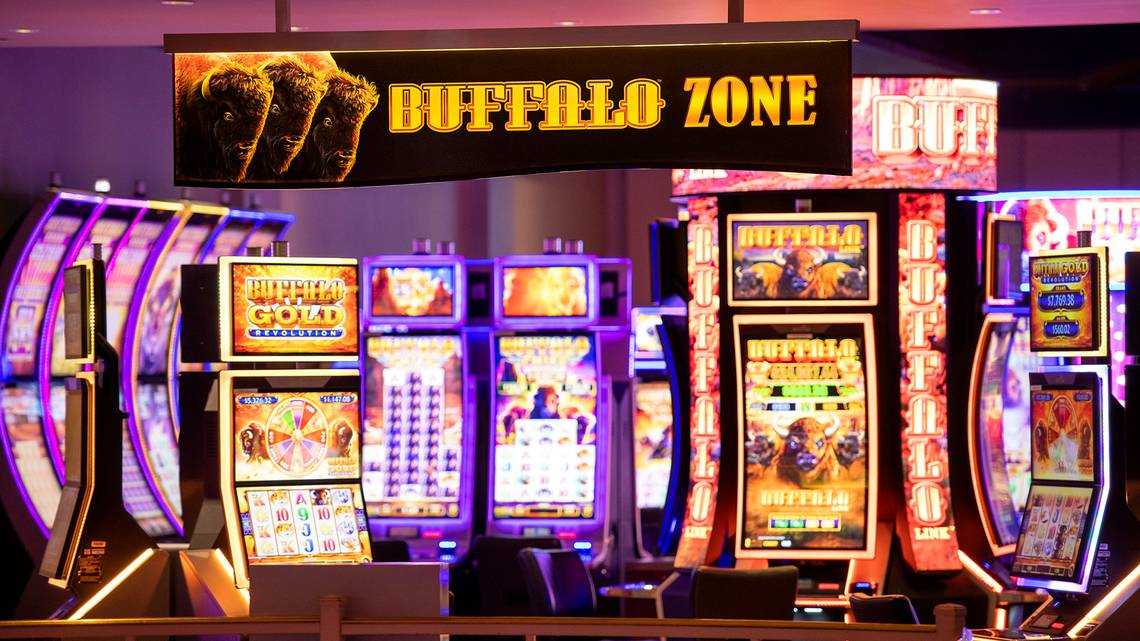 Casino Opens First Buffalo Zone in Mississippi