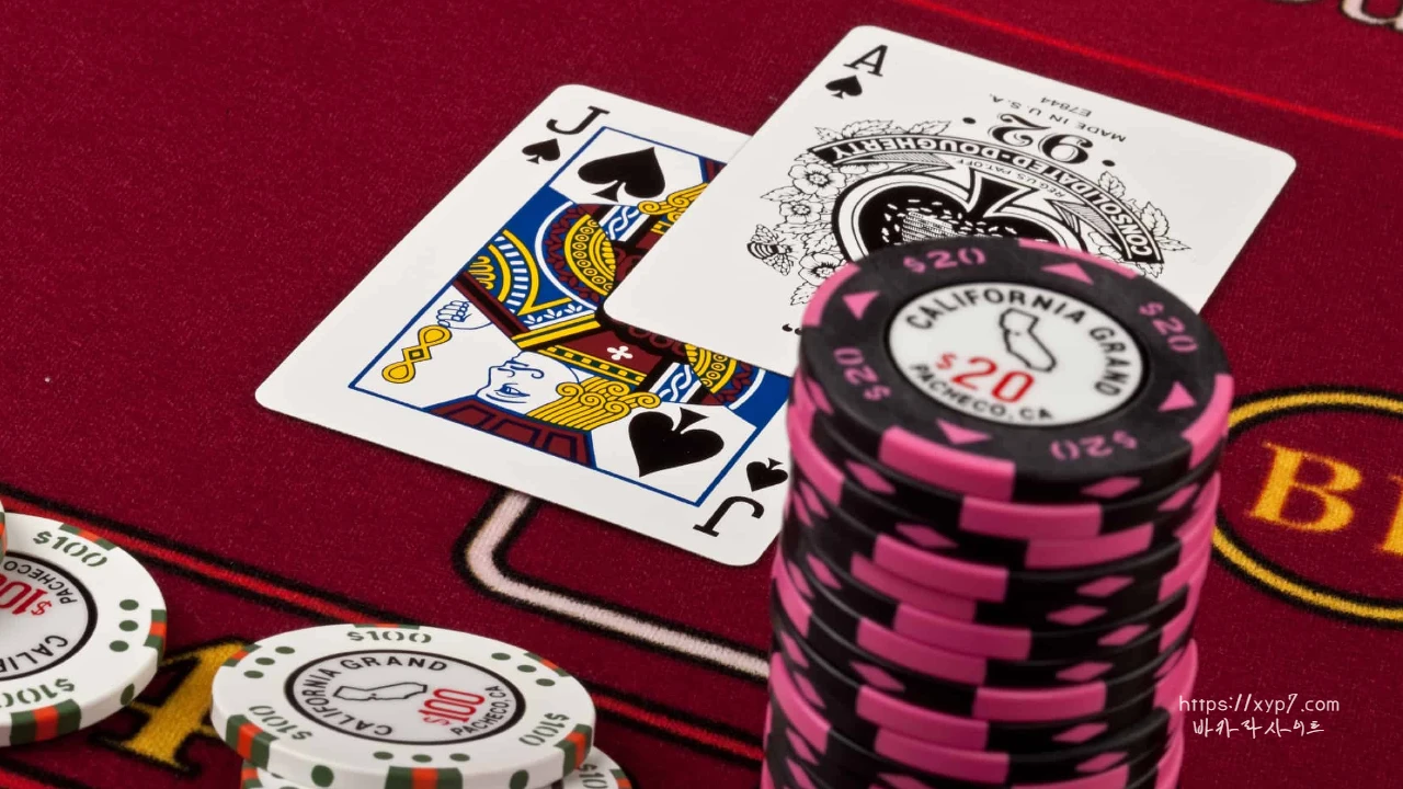 Using Online Blackjack Algorithms Makes Your Game More Accurate and Profitable
