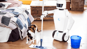Robot doing house chore